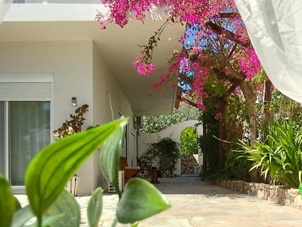 Marilen Appartement Livadia  Buitenkant foto